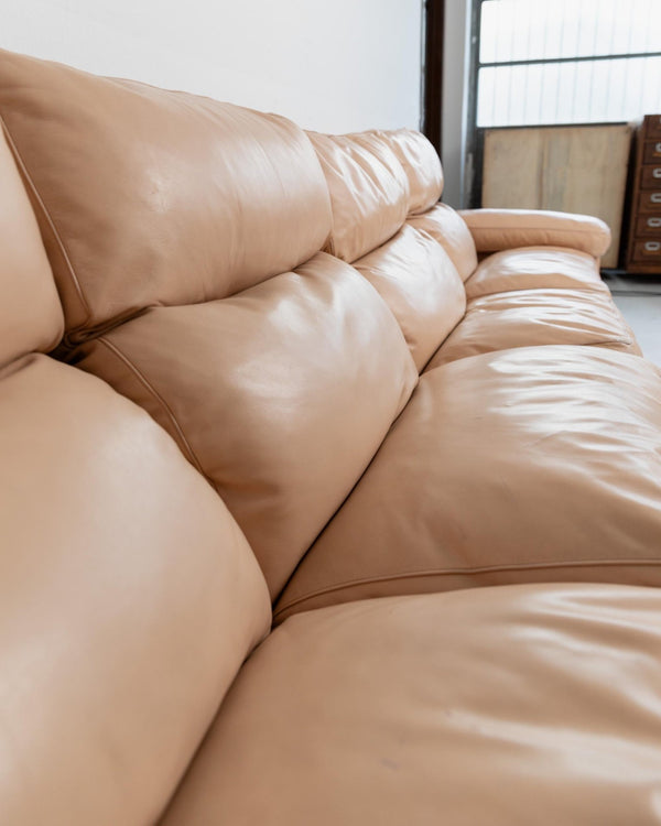 Vintage 1970s Leather Sofa, 4 - 6 Seater, Blush Colour, by Tito Agnoli for Poltrona Frau, Model Petronio, Luxury Furniture, Module Part Sofa_Bottega Jacobs