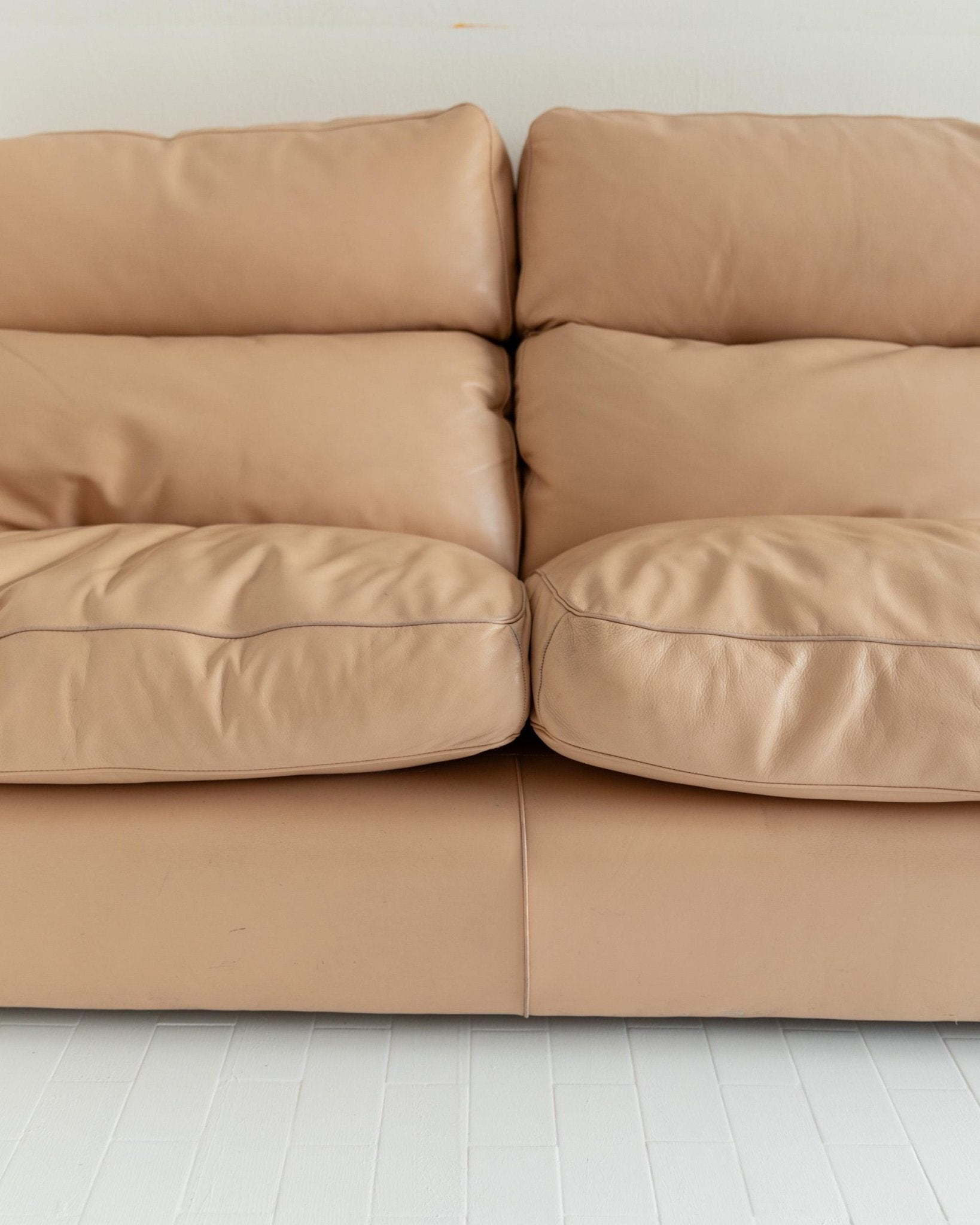 Vintage 1970s Leather Sofa, 4 - 6 Seater, Blush Colour, by Tito Agnoli for Poltrona Frau, Model Petronio, Luxury Furniture, Module Part Sofa_Bottega Jacobs