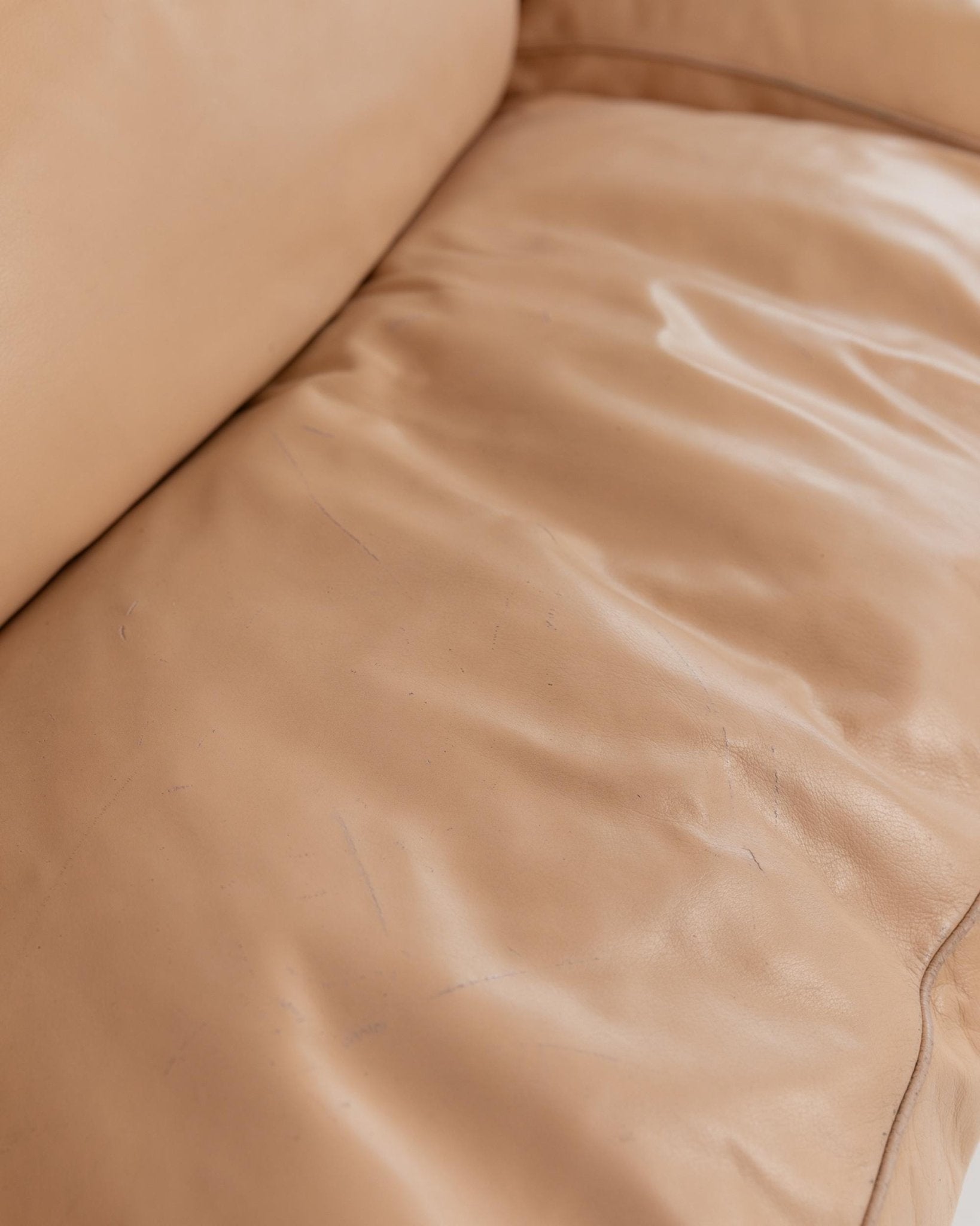 Vintage 1970s Leather Sofa, 4 - 6 Seater, Blush Colour, by Tito Agnoli for Poltrona Frau, Model Petronio, Luxury Furniture, Module Part Sofa_Bottega Jacobs