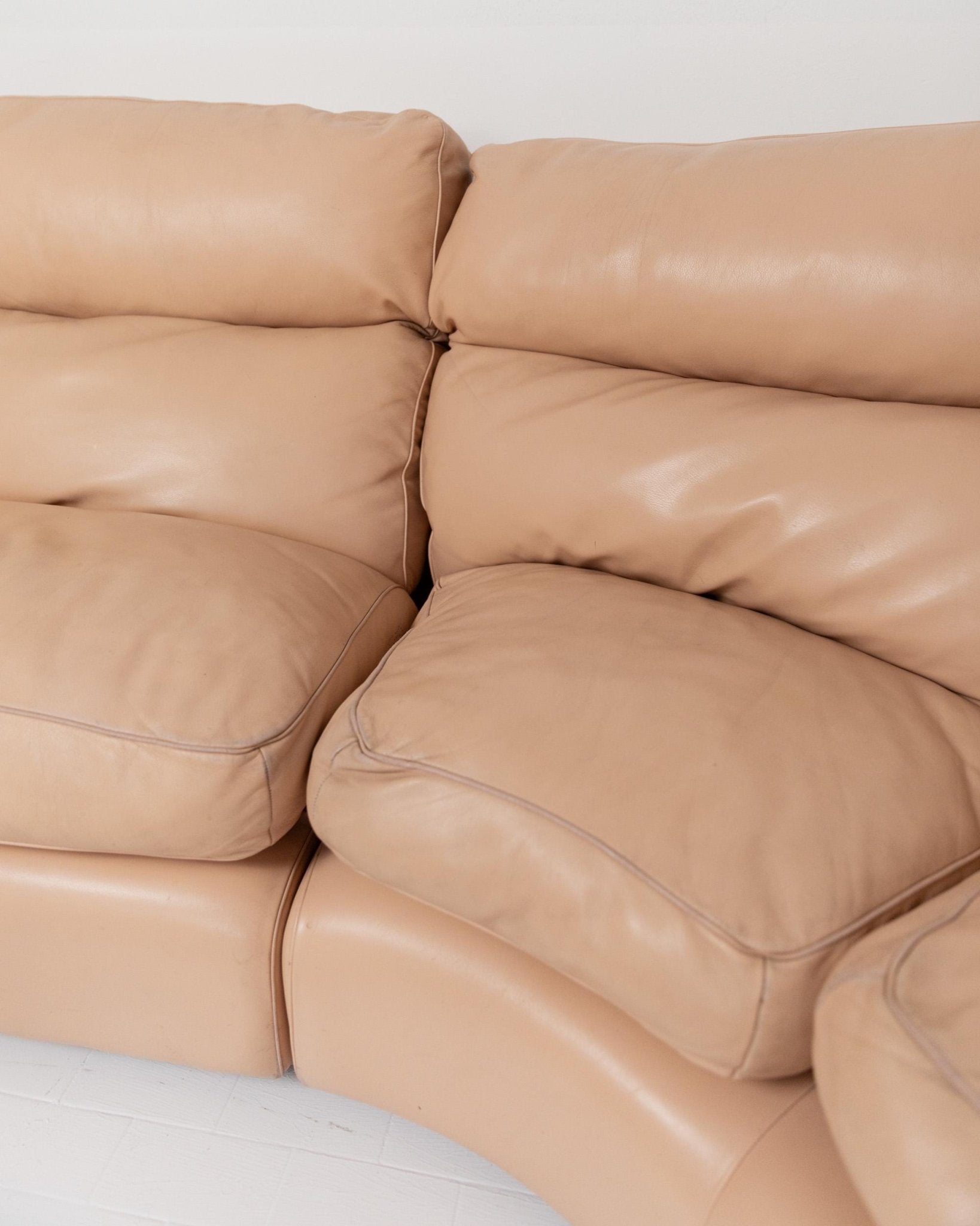 Vintage 1970s Modular Leather Sofa, Blush Colour, by Tito Agnoli for Poltrona Frau, Model Petronio, Mid Century Design, Luxury Furniture_Bottega Jacobs