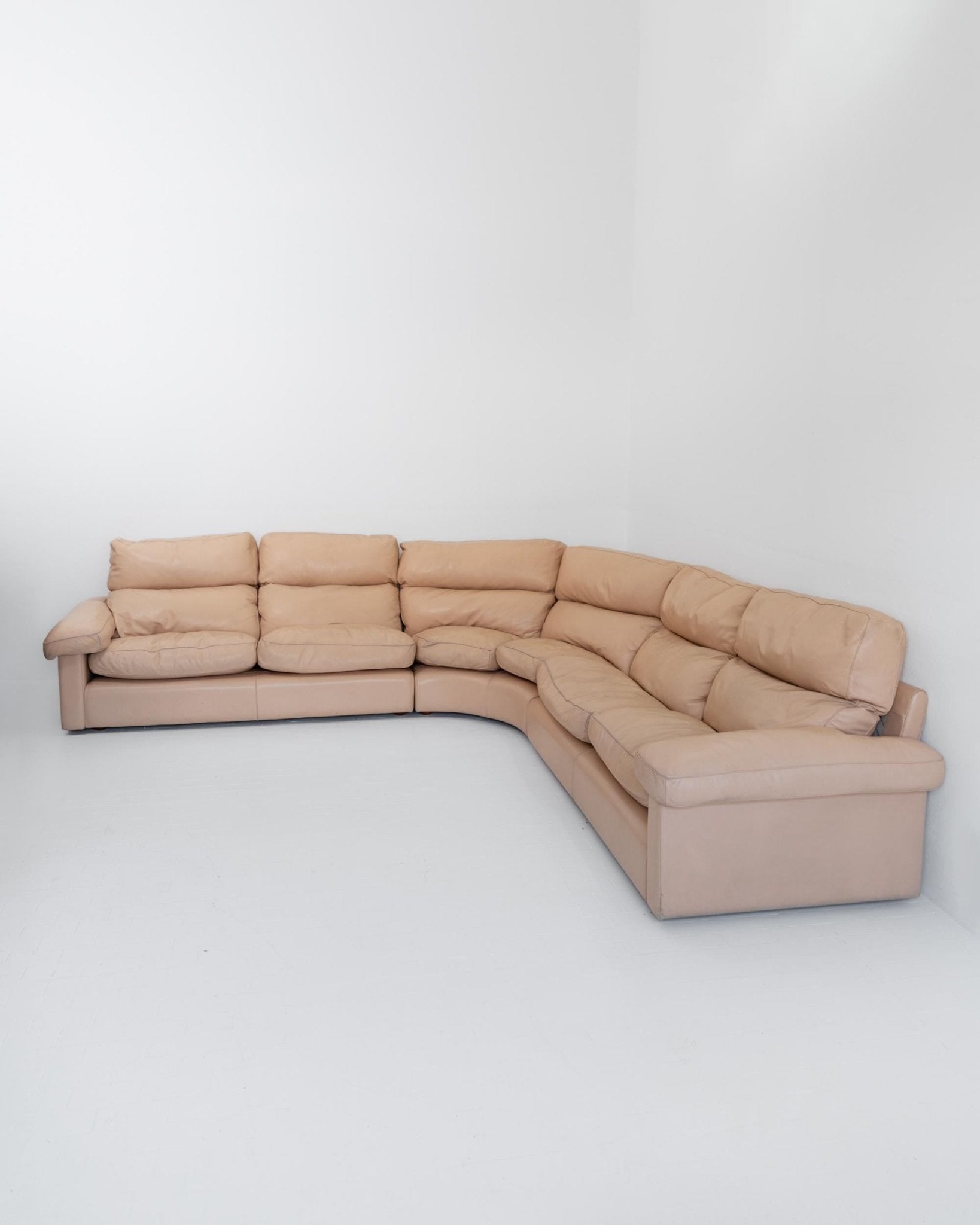 Vintage 1970s Modular Leather Sofa, Blush Colour, by Tito Agnoli for Poltrona Frau, Model Petronio, Mid Century Design, Luxury Furniture_Bottega Jacobs