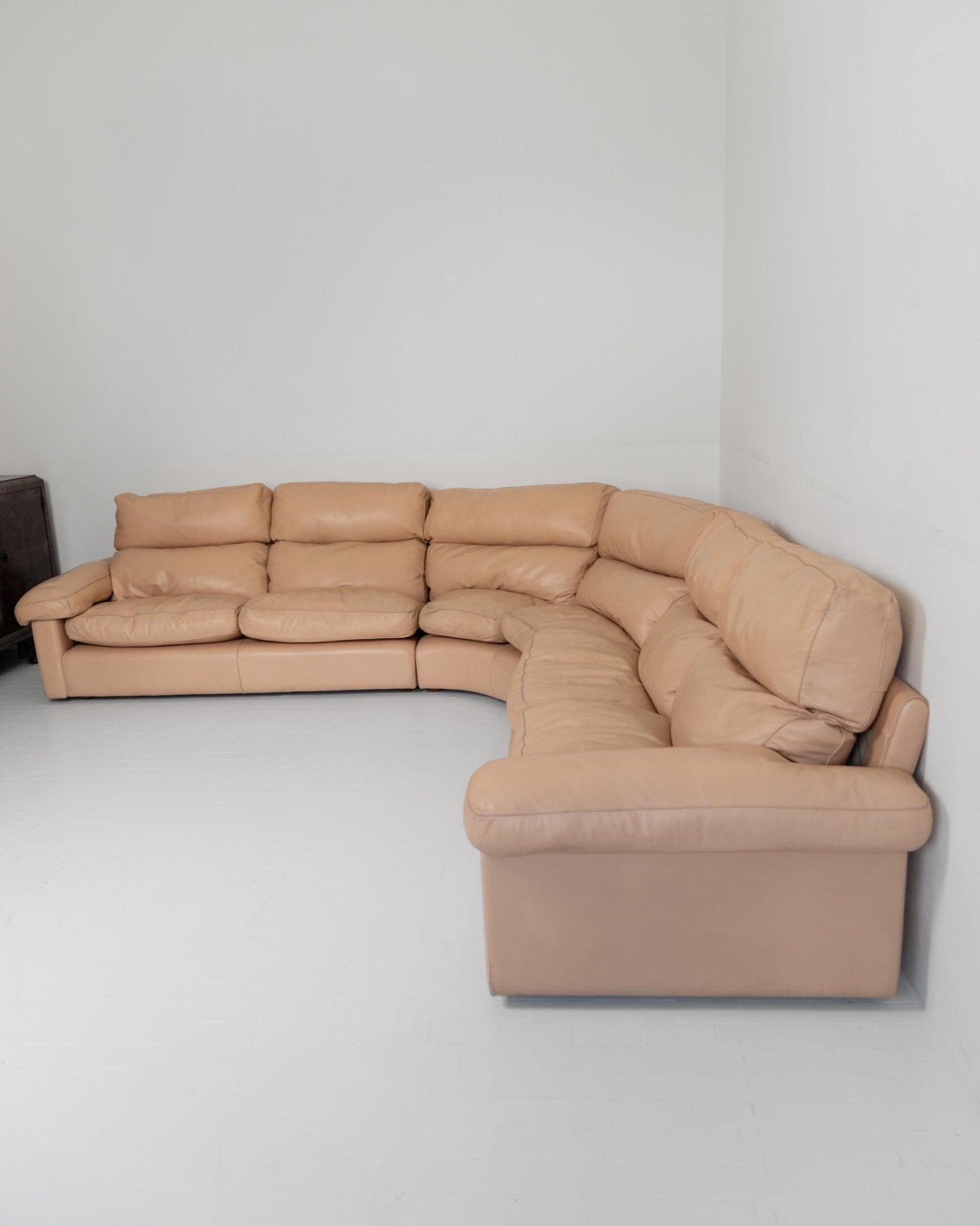 Vintage 1970s Modular Leather Sofa, Blush Colour, by Tito Agnoli for Poltrona Frau, Model Petronio, Mid Century Design, Luxury Furniture_Bottega Jacobs