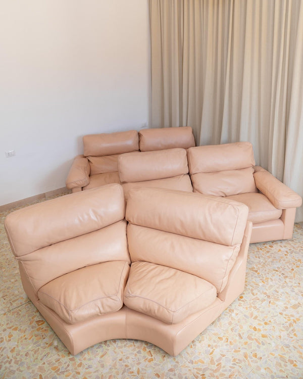 Vintage 1970s Modular Leather Sofa, Blush Colour, by Tito Agnoli for Poltrona Frau, Model Petronio, Mid Century Design, Luxury Furniture_Bottega Jacobs