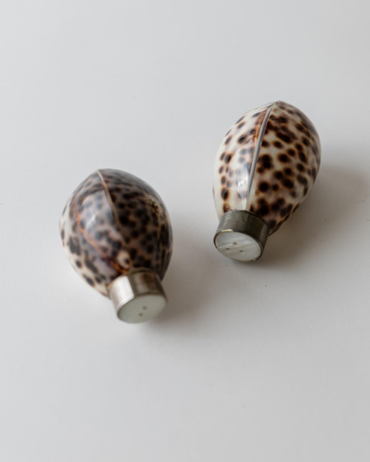 Vintage 1980s Salt and Pepper Shakers Set, Natural Seashell Design, Coastal Tableware, Decorative Retro Dining Accessories, Unique Gift Idea_Bottega Jacobs